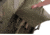 Tasmanian Tiger Dbl Modular 125cm Rifle Bag, Olive, TT-7751-331