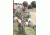 United States Tactical C2 - 2-to-1 Point Tactical Sling, 2in, HK Hook, Coyote, UST-SLC00202QH