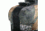 Vanguard Outback 52Z Gun Case