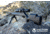 Victor Company Titan 1022 Precision Rimfire Stock, Black, TITAN-1022-BLK