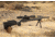 Victor Company Titan 1022 Precision Rimfire Stock, Black, TITAN-1022-BLK