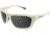 WarBird Enfilade Glasses