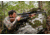 WOOX Wild Man Precision Stock - Remington Model 700 BDL Mini Chassis, Right Hand, Short Action, Walnut, SH.GNS001.03