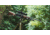 WOOX Wild Man Precision Stock, Ruger 10/22, Tiger Wood, SH.GNS001.39