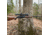 WOOX Wild Man Precision Rifle Stock for Ruger 10/22, Walnut, Regular, SH.GNS001.25