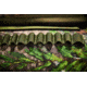 Allen Gear Fit Pursuit Shocker 52in Lockable Shotgun Case, Olive/Mossy Oak NWTF Obsession, 961-52