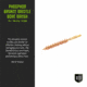 Breakthrough Clean Technologies Phosphorus Bronze Bore Brush, .25 Cal, BT-25/6.5PBBB