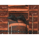 Browning Safes Safe PP63 Two-Tone 1601100084