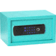 Bulldog Cases &amp; Vaults Duo LED / Biometric Vault, 12 x 8 x 7 in, Teal, BD5012