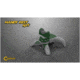 Caldwell Handy Shooting Rest NXT, Green, 574662