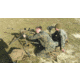 Hog Saddle ENHANCED SS Loophole Rifle Sling
