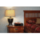 Hornady Rapid Safe, Night Guard, RFID, NSN N, 98215