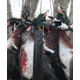 Jebs Choke Tubes Head Hunter Black Nitride 20 Gauge Turkey Choke Tube, Remington, Headhunter .555, Black Nitride, JPCBN - 20A1/555