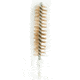 KleenBore Phosphor Bronze Brush for 44/45 Caliber Rifles, Pack of 5, KLA182