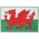 Maxpedition Welsh Flag, Full Color WALEC