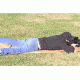 Primary Arms Compact Shooting Mat - Flat Dark Earth - PAGSSMFDE, Black