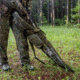 Primos Hunting Shotgun Case, 52in, Hang Tag, Mossy Oak Bottomland, 65636