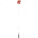 Real Avid Bore Boss Smart Bore Cleaner, .223cal/5.56mm, AVBB223