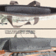 Texas Hunt Co Universal Gun Case