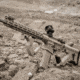 HERA Arms CQR AR-15 Polymer Tan, 1213