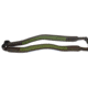 Vero Vellini High Climbing Double Riflesling, Forest Green w/ Dark Brown V17350