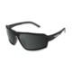 War Bird Sleeper Cell Glasses, Black Frames/Smoke Lens, EYSCBKSM