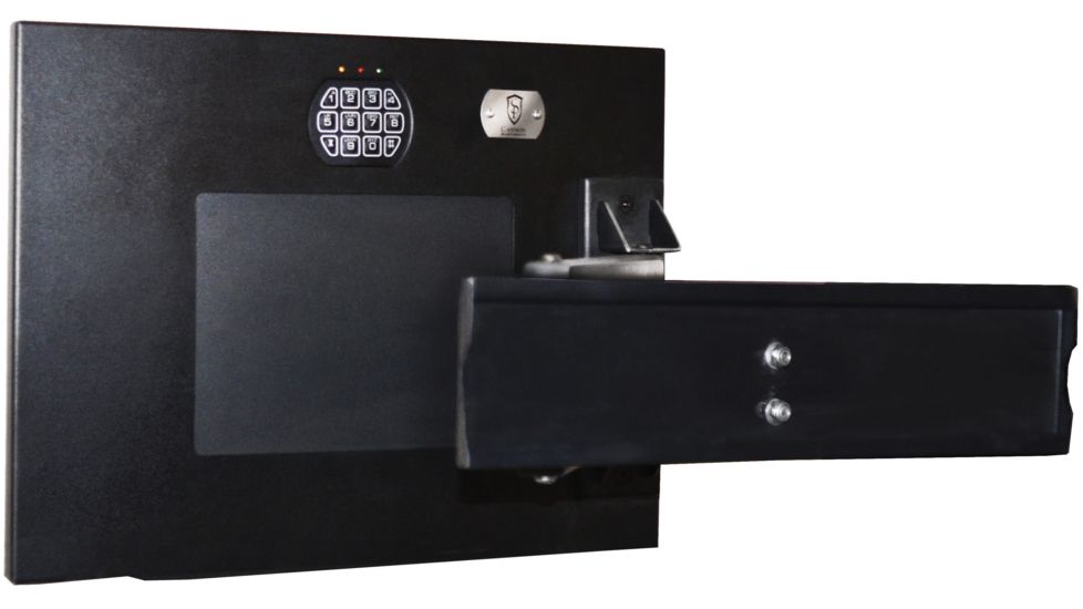 Cannon Security Products TV Wall Vault WV-TV-01