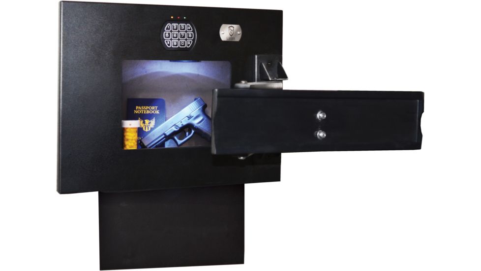 Cannon Security Products TV Wall Vault WV-TV-01