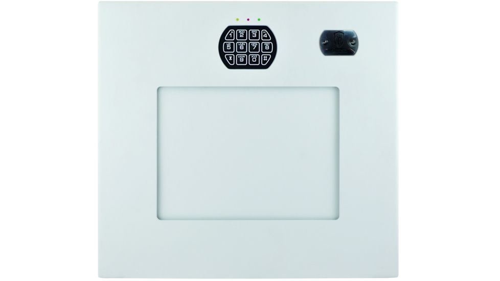 Cannon Security Products Wall Vault WV-01