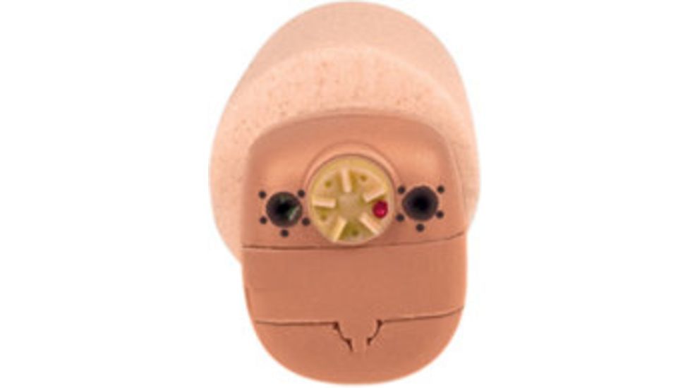 Champion Traps and Targets Hearing Protection/amplification Behind-the-ear Digital - Double Channel