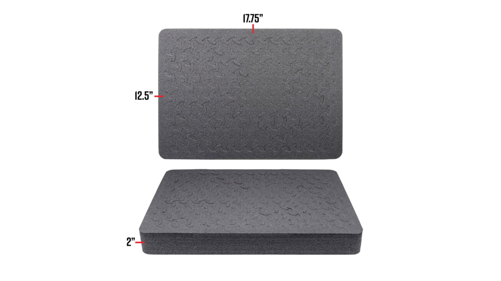 Eylar 20in Large Hard Case Equipped w/Ragar XP Crosslinked Foam Insert, Black, SA00002-BLK-RG-XP