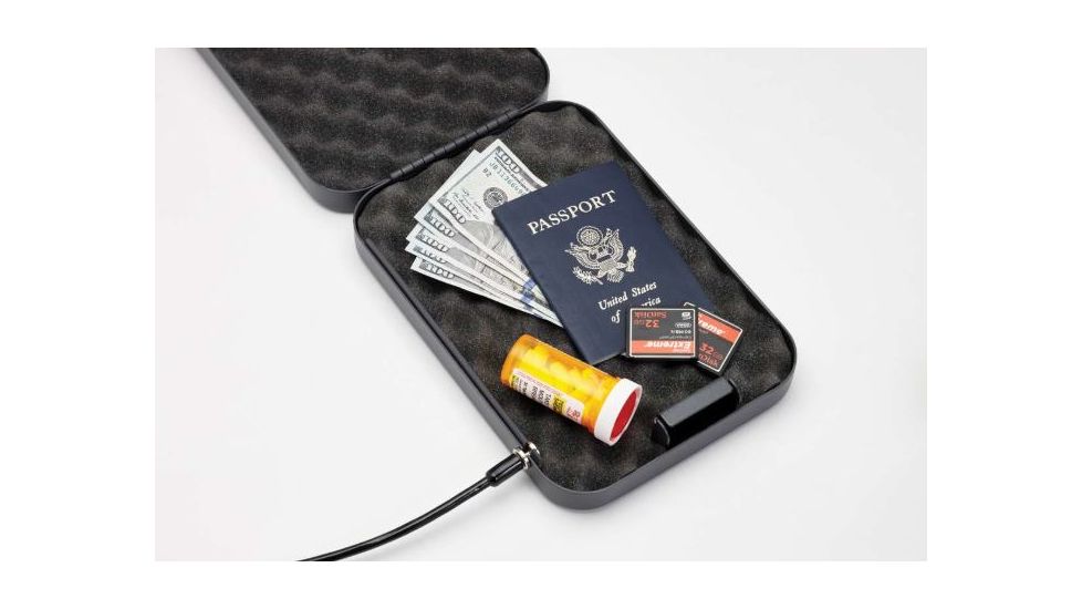 Hornady Large Security Lock Box 95200