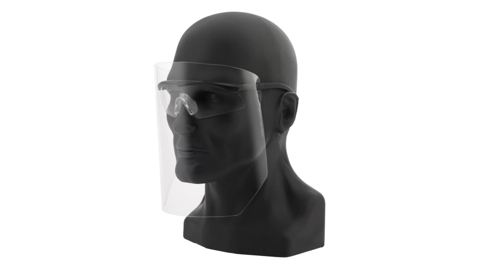 Revision StingerHawk Eyewear System w/ Face Shield, Clear, Regular, 4-0090-9011