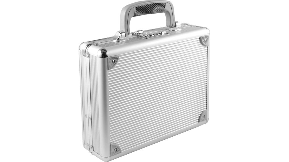 TZ Case Single Pistol Case, Silver TZ0011SS