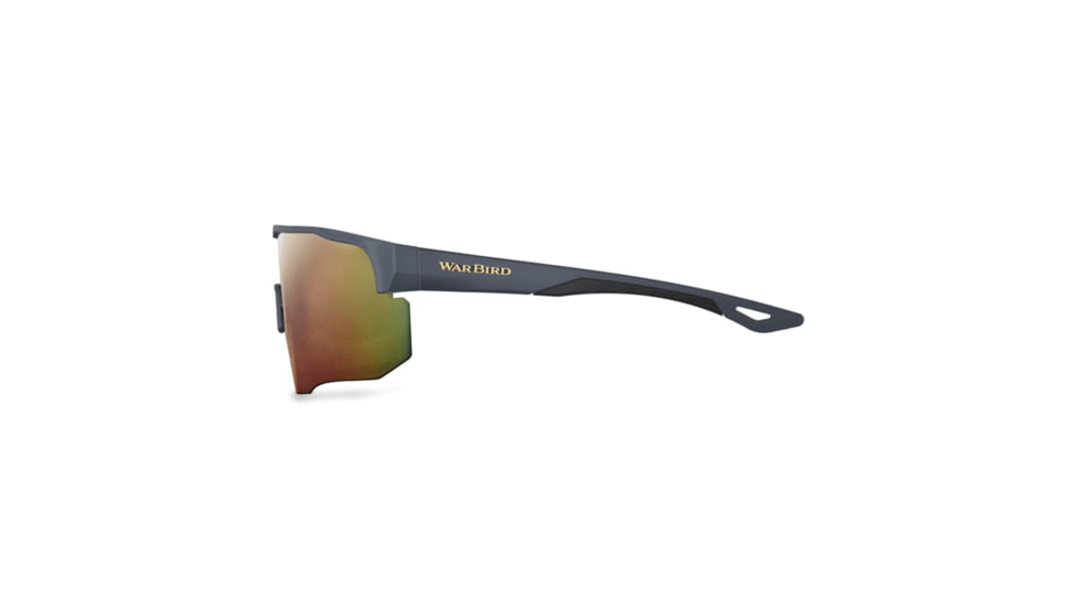 WarBird Deep State Glasses